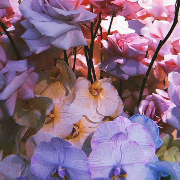 Meet your Posher, Alyssa - Picture 1 of 1